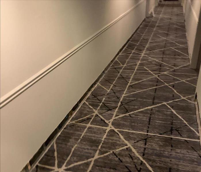 hallway with dry carpet